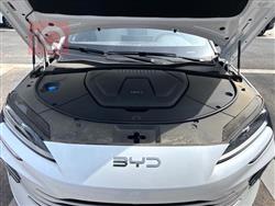 بي واي دي سونغ بلس